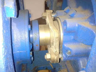 USED Goulds 3175