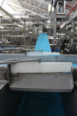 Inclined Hopper Infeed Belt Conveyor