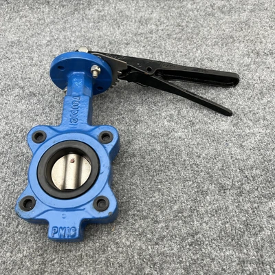 New | in-Stock WHEATLEY BFV-030L Pump & Valve Parts California US | Davliegogo LLC #1706944