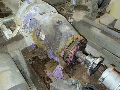 USED GOULDS 3175S