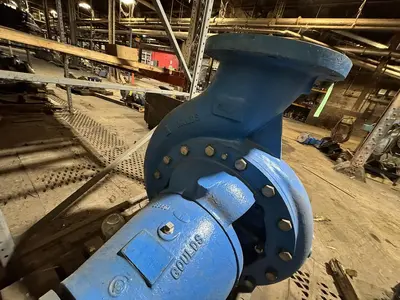 USED GOULDS 3175L