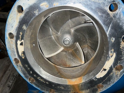 USED Goulds 3175