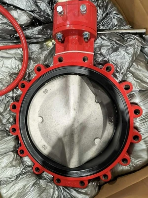 Bray 316 SS Butterfly Valves | Fram Fram LLC (4)