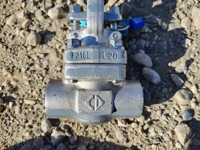 3/4" Class 800 Gate Valve API 602