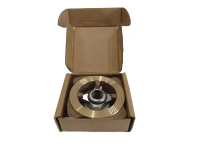 NEW SPIRAX SARCO DCV1 DN25 CHECK VALVE DCV1DN25