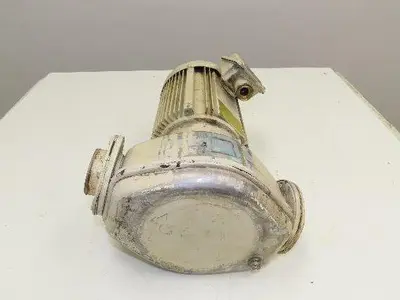 Ebara 50LPS Stainless In-line Centrifugal Pump 105gpm 220V 3PH 2" Threaded DN50