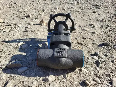 1" Class 800 Gate Valve API 602