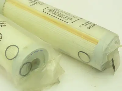 Gelman 12570 Acroflow II Filter Cartridge 0.2 um 10"  LOT OF 2