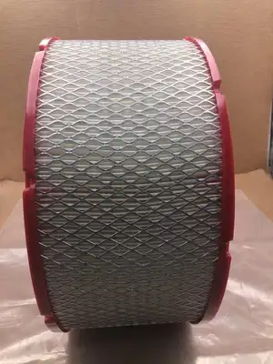 AA20B2 Air Filter Element 113384904.1