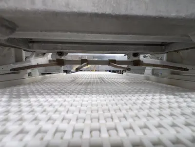 Triumph Cookie Wire-cut Machine