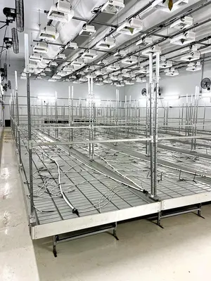 Rolling Vegetation Grow Tables (w/ fans, irrigation lines, grow lights) by Innovative Growers Equipment