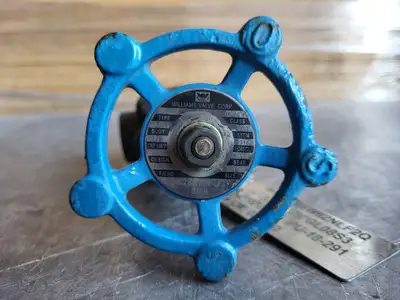 3/4" Class 800 Globe Valve B16.34