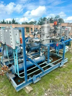 Used TRAVAINI Vacuum Pump Vacuum Pumps New Jersey US | Perry Equipment #1283482