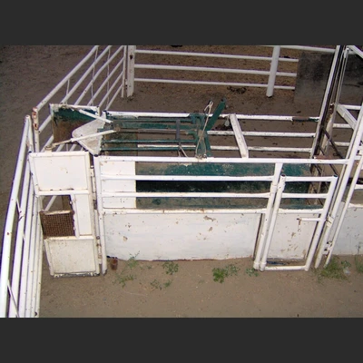 Custom Built Roping Chutes.