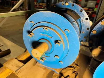 USED GOULDS 3196