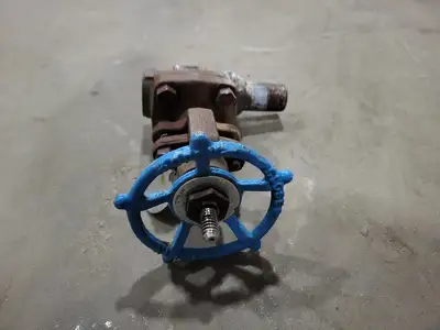3/4" Class 800 Gate Valve B16.34