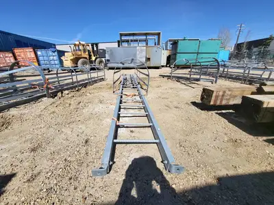 18.5ft. Steel Caged Ladder