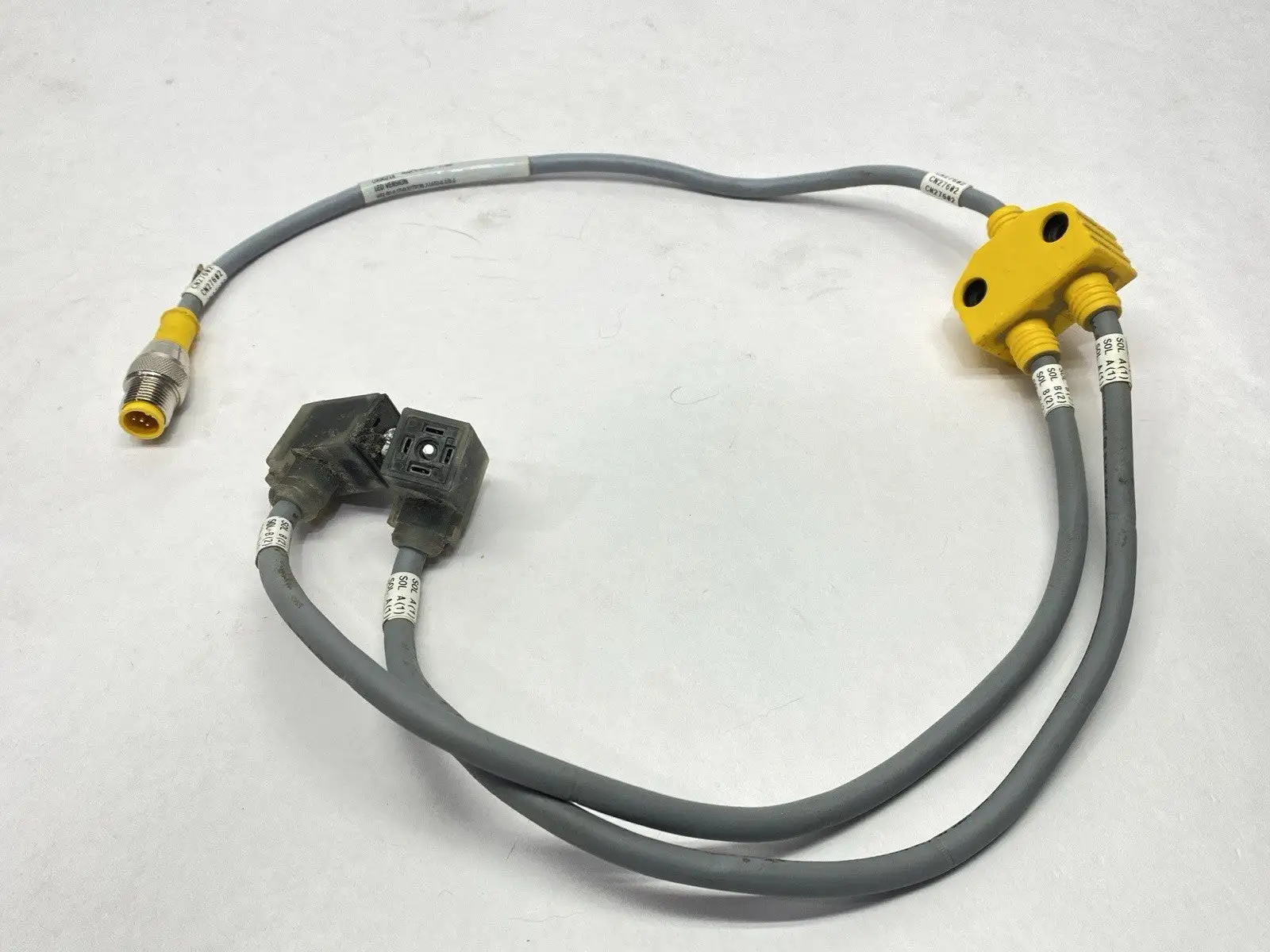 Turck VB2-RS 4.5T-0.3/2TC9S 2-L653-0.3/0.3 Junction Splitter Cable UX00218