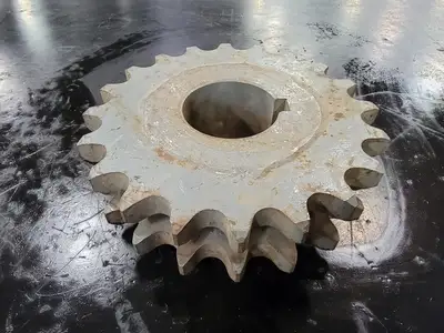Roller Chain Sprocket D100B20212