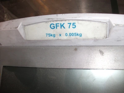 75 Kg Aadam Digital GFK