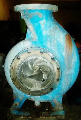 USED Goulds 3175