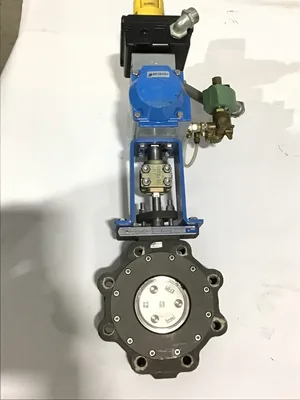 Jamesbury C/VPVL250 DA BC Pneumatic Actuator Valve