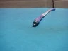 USED MEGAPHASE TM4-S1S1-16