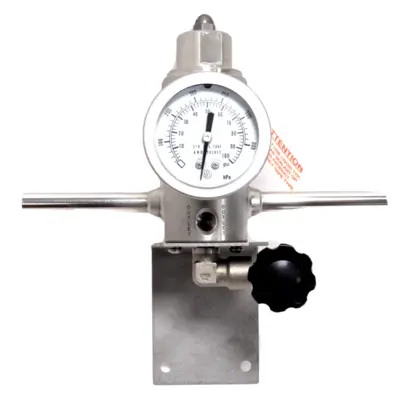 NEW GO REGULATOR H2-102572 REGULATOR 100 PSI EA-2131999 H2102572