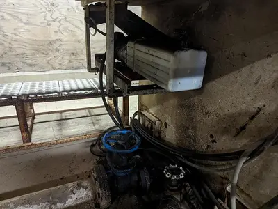 Pumpkin Squash Inspection & Cleaning Line