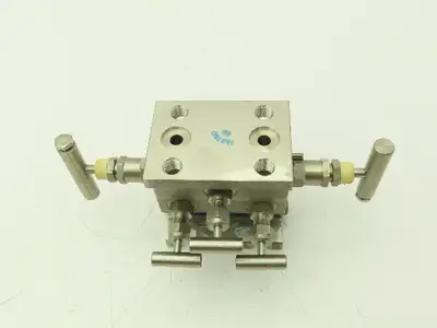 Tyco M6TAVDS Natural Gas Manifold 5 Valve 316 Stainless Steel