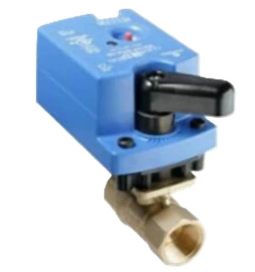 Johnson Controls VG1245AD+9A4AGA Valve With Actuator [New]