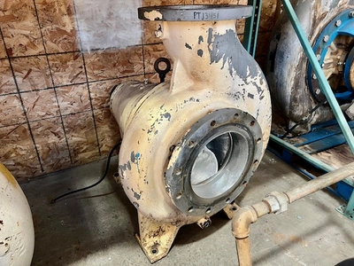 USED Goulds 3175