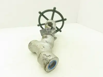 Edward D36124 Univalve Globe Valve Y-Pattern 1" Socket Weld 1335psi Class 1690