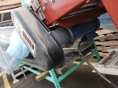 BEI 13' Berry Conveyor