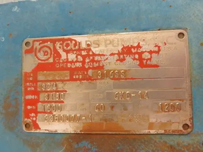 USED Goulds 3180