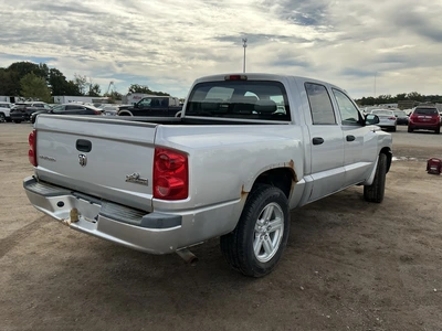 Used 2008 DODGE DAKOTA Pickup Trucks Michigan US | Miedema Asset Management Group #1461324