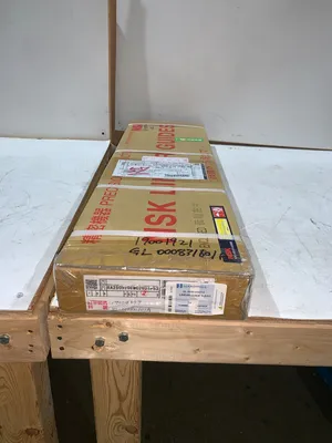 NEW NSK RA250520EMC2V01P53