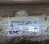 Used SMC CDA1FN80500J59WLXC3BD Pumps Ohio US | HGR 24 #1300888