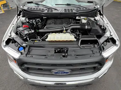 Used 2021 FORD F-150 Pickup Trucks Florida US | Truck and Van Outlet #1509181