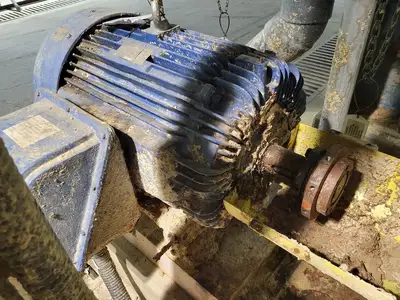 USED GOULDS 3175M
