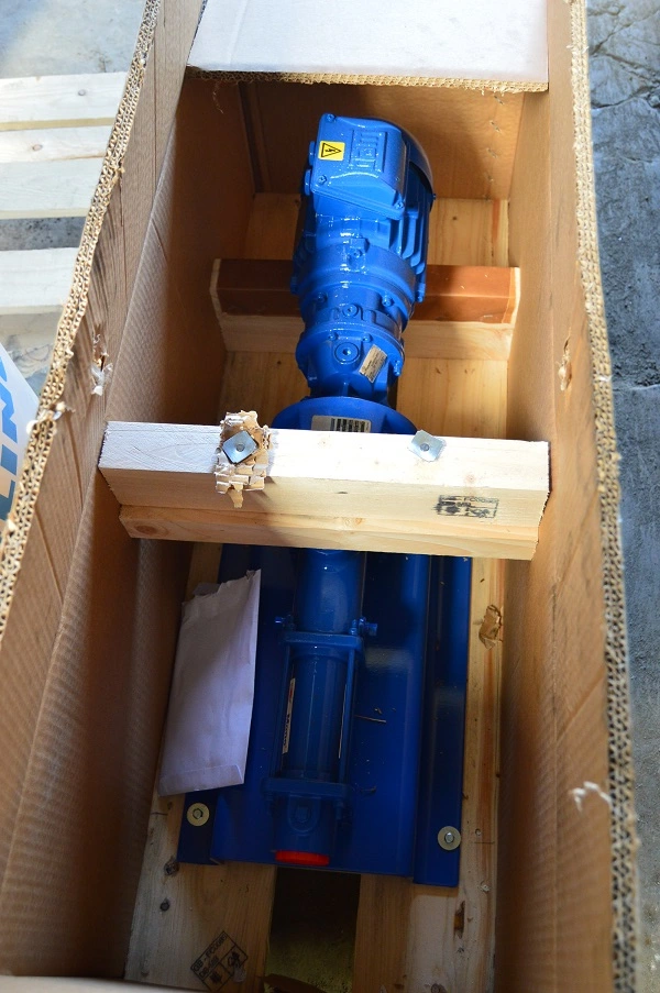 25 LPM S/S New Mono Pump Type C22-RMB