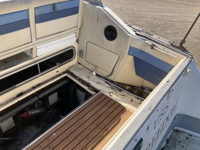 Used 1988 SEA RAY SORRENTO 25 Boats (Misc) Michigan US | Miedema Asset Management Group #1384746