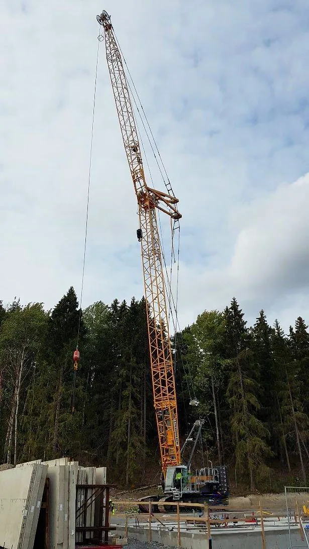 Used 2018 LIEBHERR LR 1110 Crawler Cranes Texas US | Uriquip #1421085
