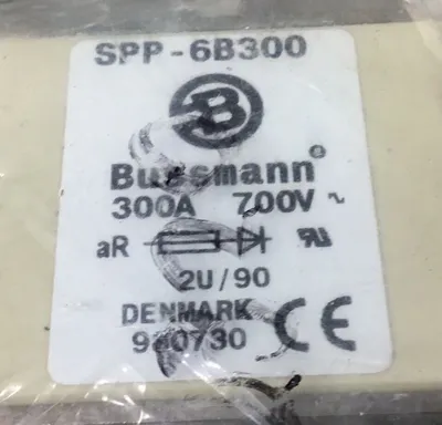 Bussmann SPP-6B300 Fuse 300A 700V 4D-20