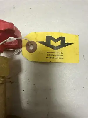New | in-Stock MILWAUKEE VALVE 300SWP 1000WOG Pump & Valve Parts Ohio US | Surplus Asset Holdings #1235460