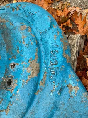 USED GOULDS 3196