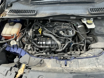 USED 2013 FORD ESCAPE