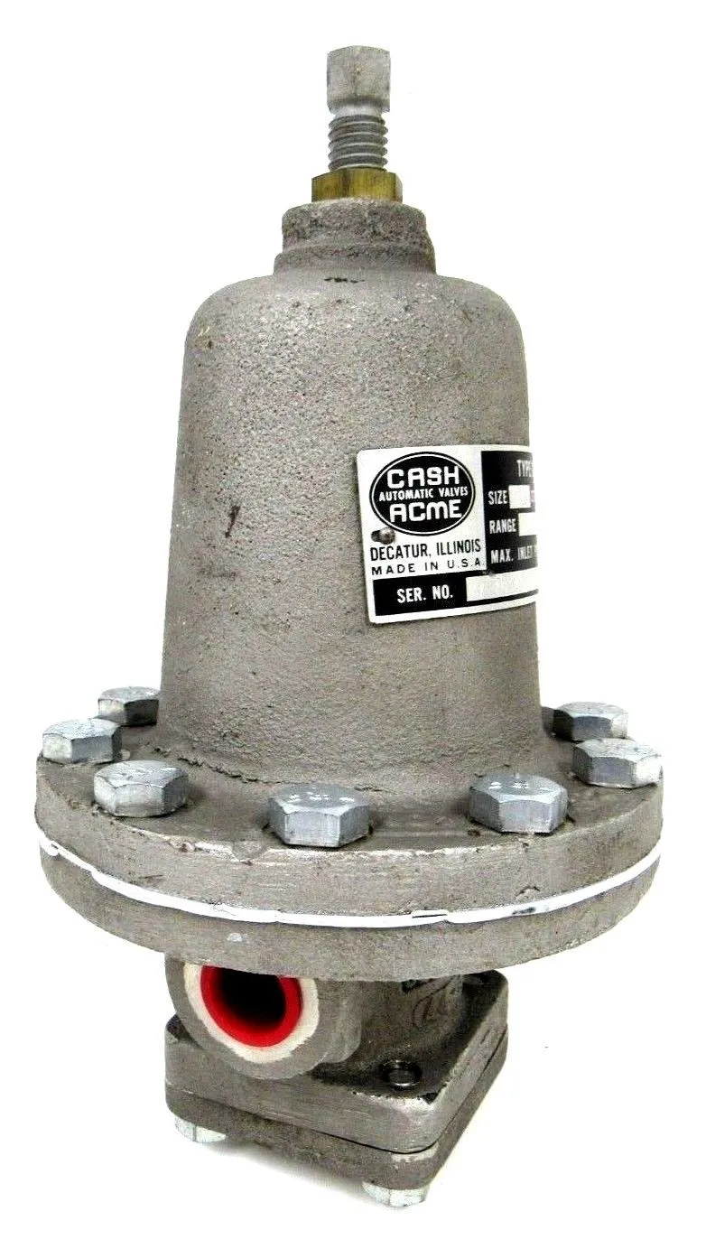NEW CASH ACME G-60 PRESSURE RELIEF VALVE G60 1/2" 30PSI G60