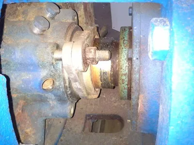 USED Goulds 3175