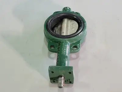 Centerline 57 Series 200 Butterfly Valve, BI 07507